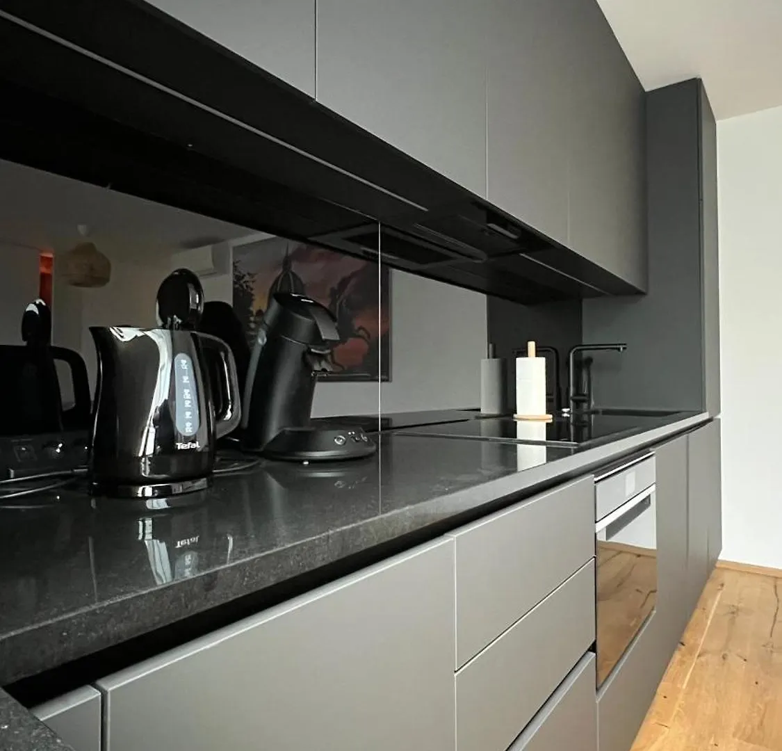 Vienna Apartment Ortnergasse